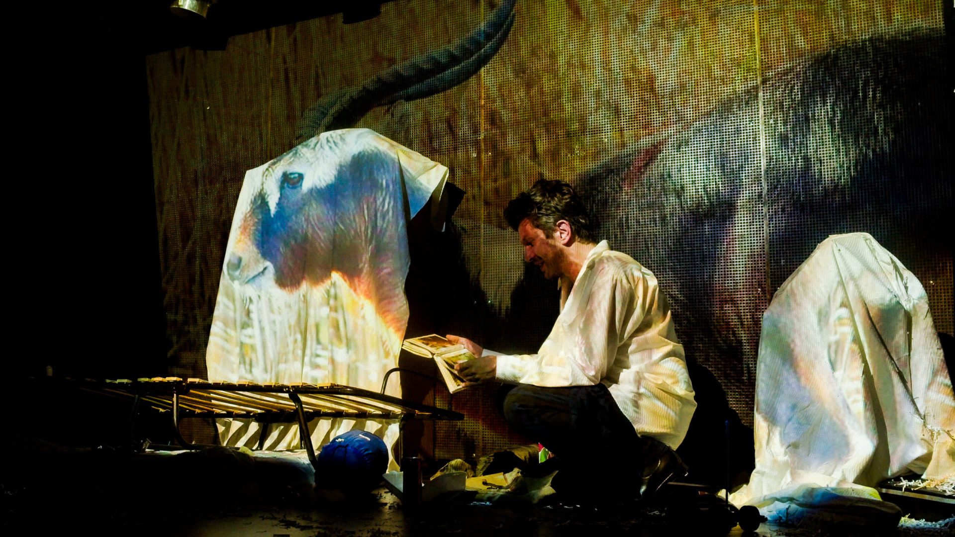 © Lennart Bendixen / Strassentauben Kollektiv